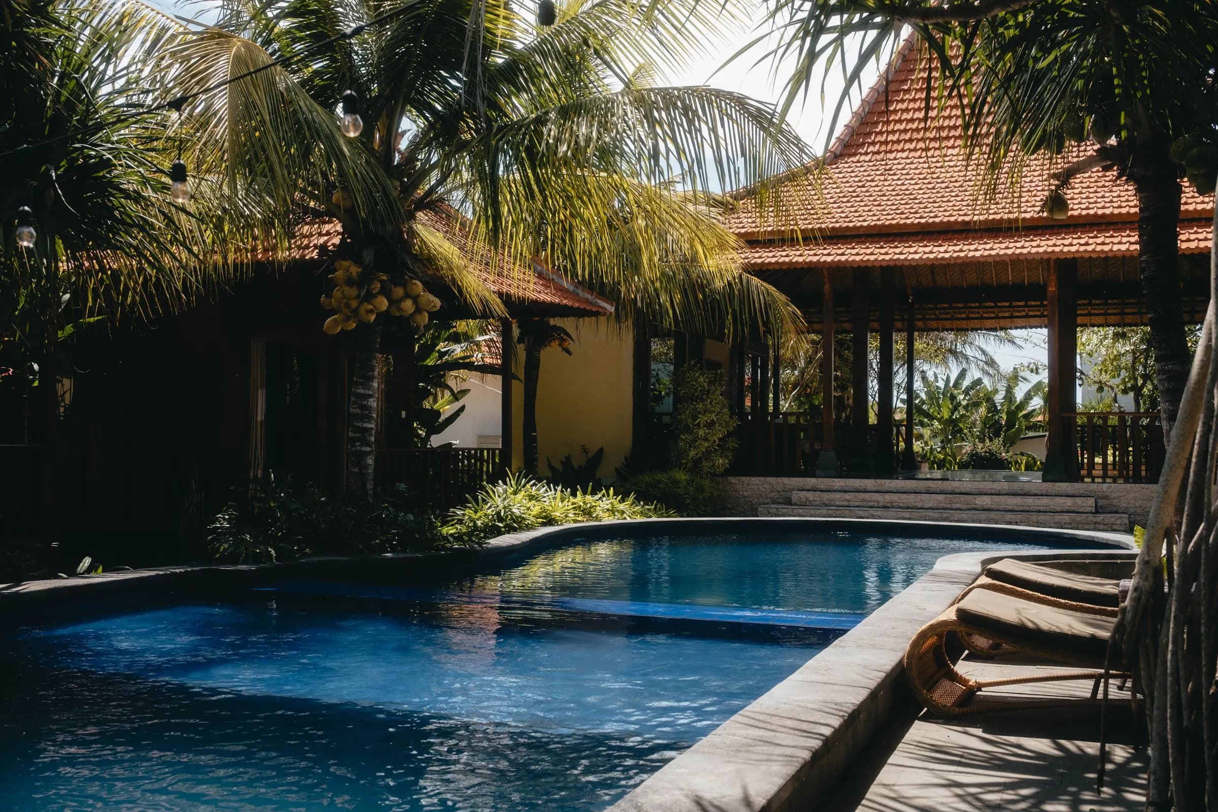 Private villa pool framed by palms